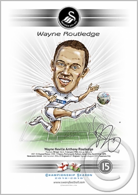 15 Wayne Routledge